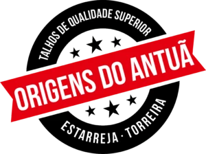 LOGO ORIGENS-cor