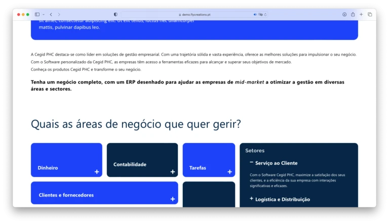 Website Protocolo Cegid PHCdemo.flycreations.pt